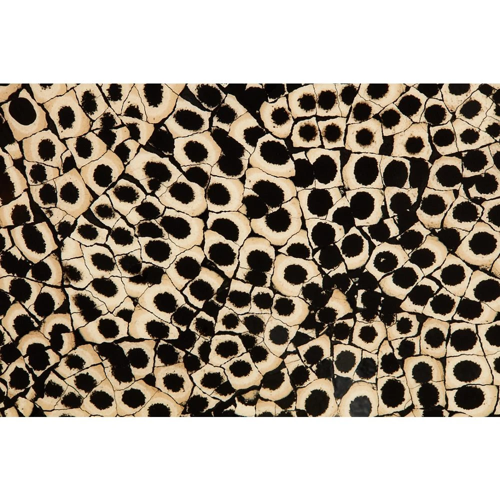 30" Elements Collection Eggshell Snakeskin Black Custom Column Panel JBREBLACK30