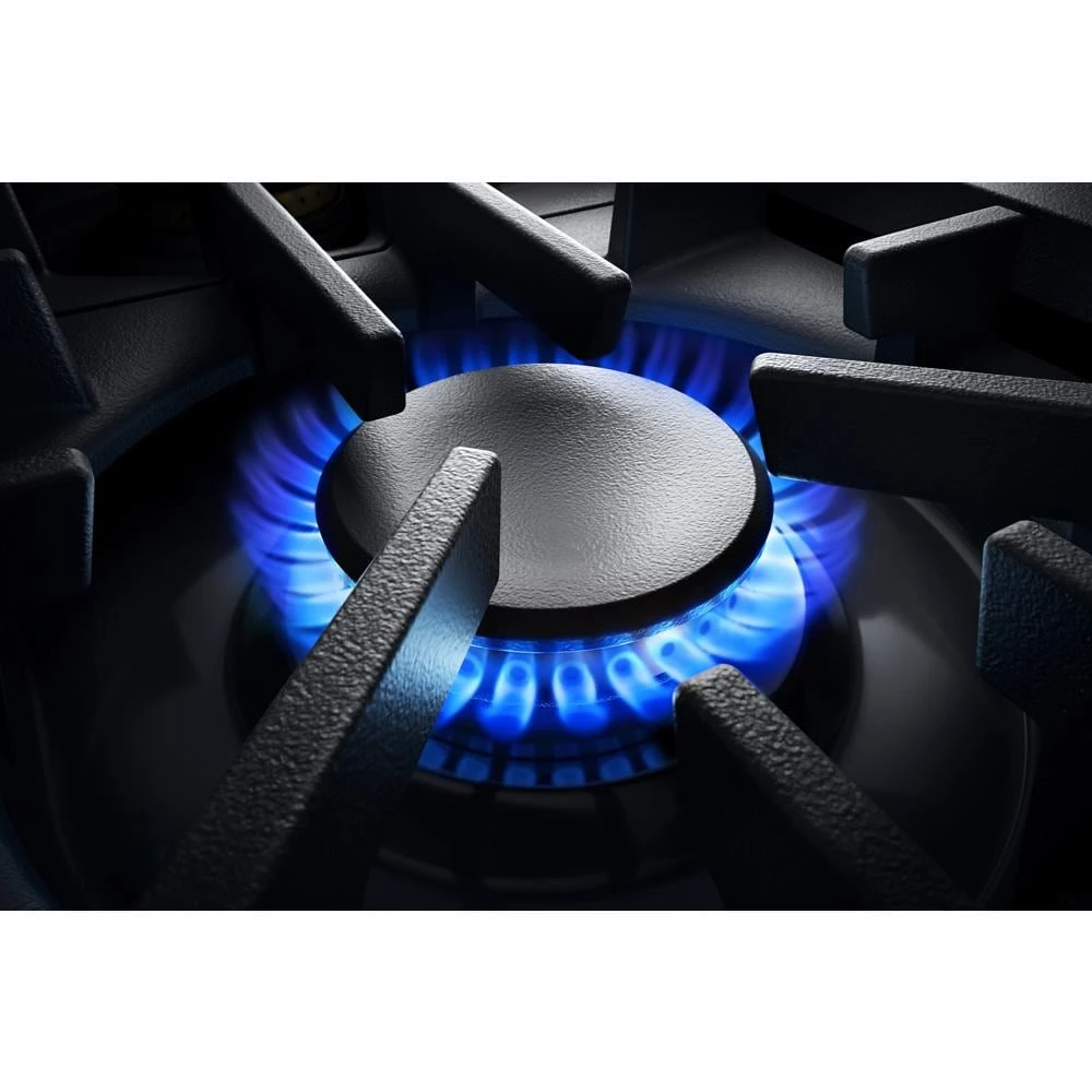 RISE⢠30" Dual-Fuel Professional Range JDRP430HL