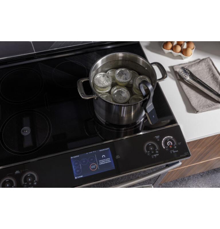 Precision Cooking Probe view 3