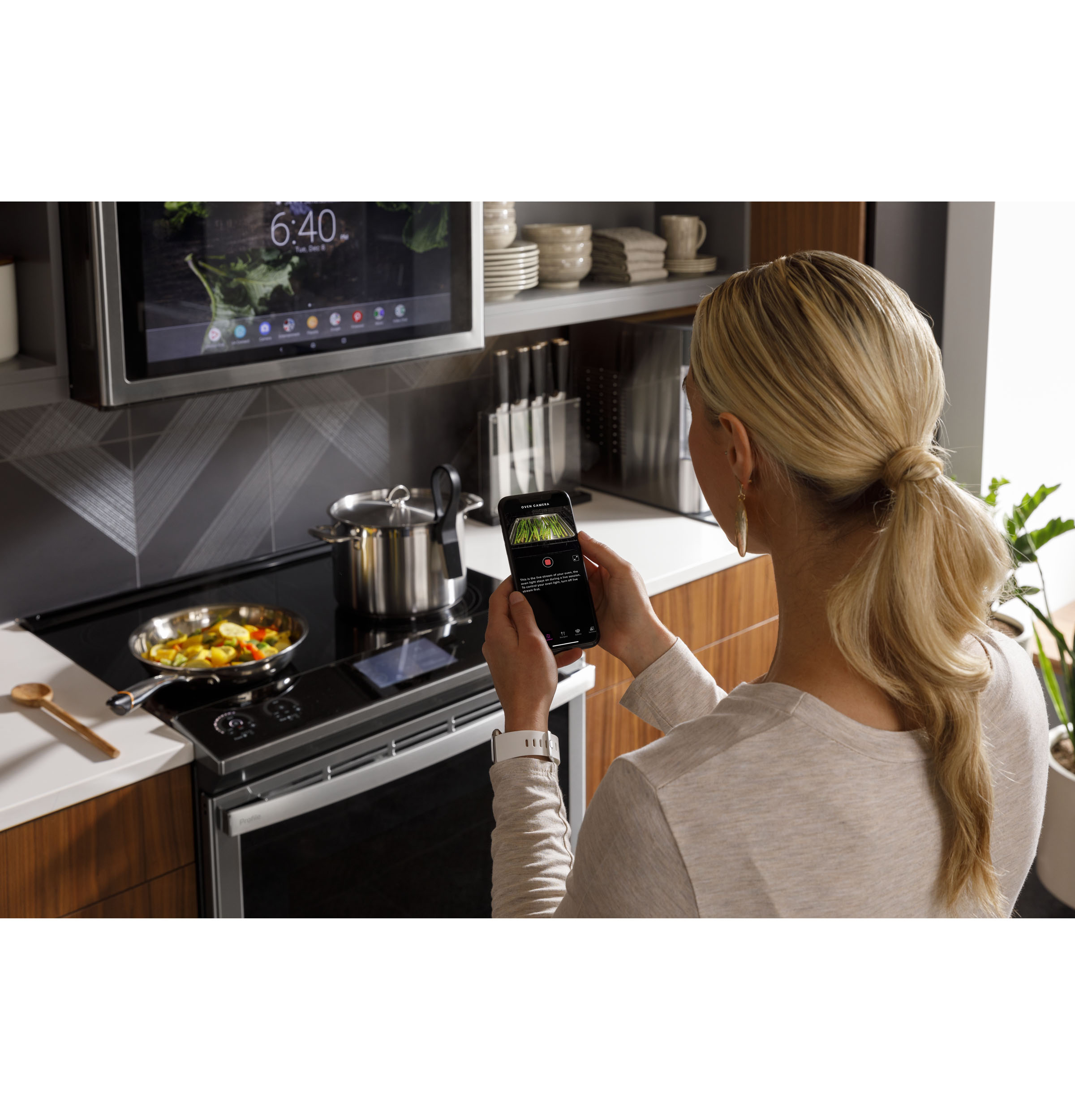 Precision Cooking Probe with Bluetooth Dongle and Instruction Manual view 2