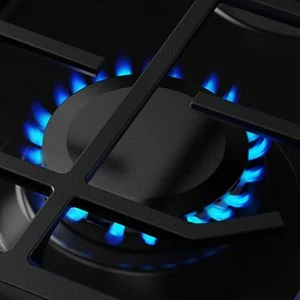 5.0 Cu. Ft. Smart Slide-in Gas Range with Convection Cooking Modes and 2-in-1 Burner view 5