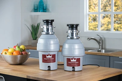 Legend 3/4 horsepower garbage disposal L5000TC