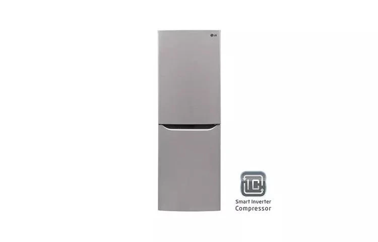 Large Capacity 2 Door Bottom-mount Refrigerator LBN10551PV