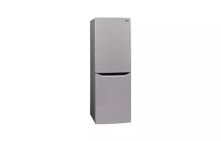 Large Capacity 2 Door Bottom-mount Refrigerator LBN10551PV