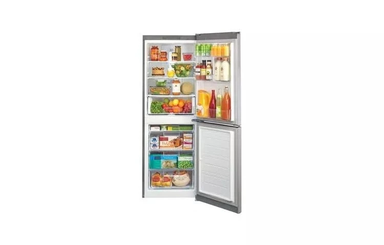 Large Capacity 2 Door Bottom-mount Refrigerator LBN10551PV