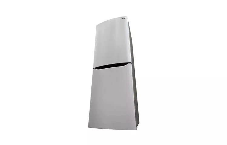 Large Capacity 2 Door Bottom-mount Refrigerator LBN10551PV