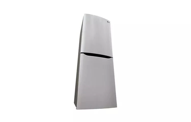 Large Capacity 2 Door Bottom-mount Refrigerator LBN10551PV