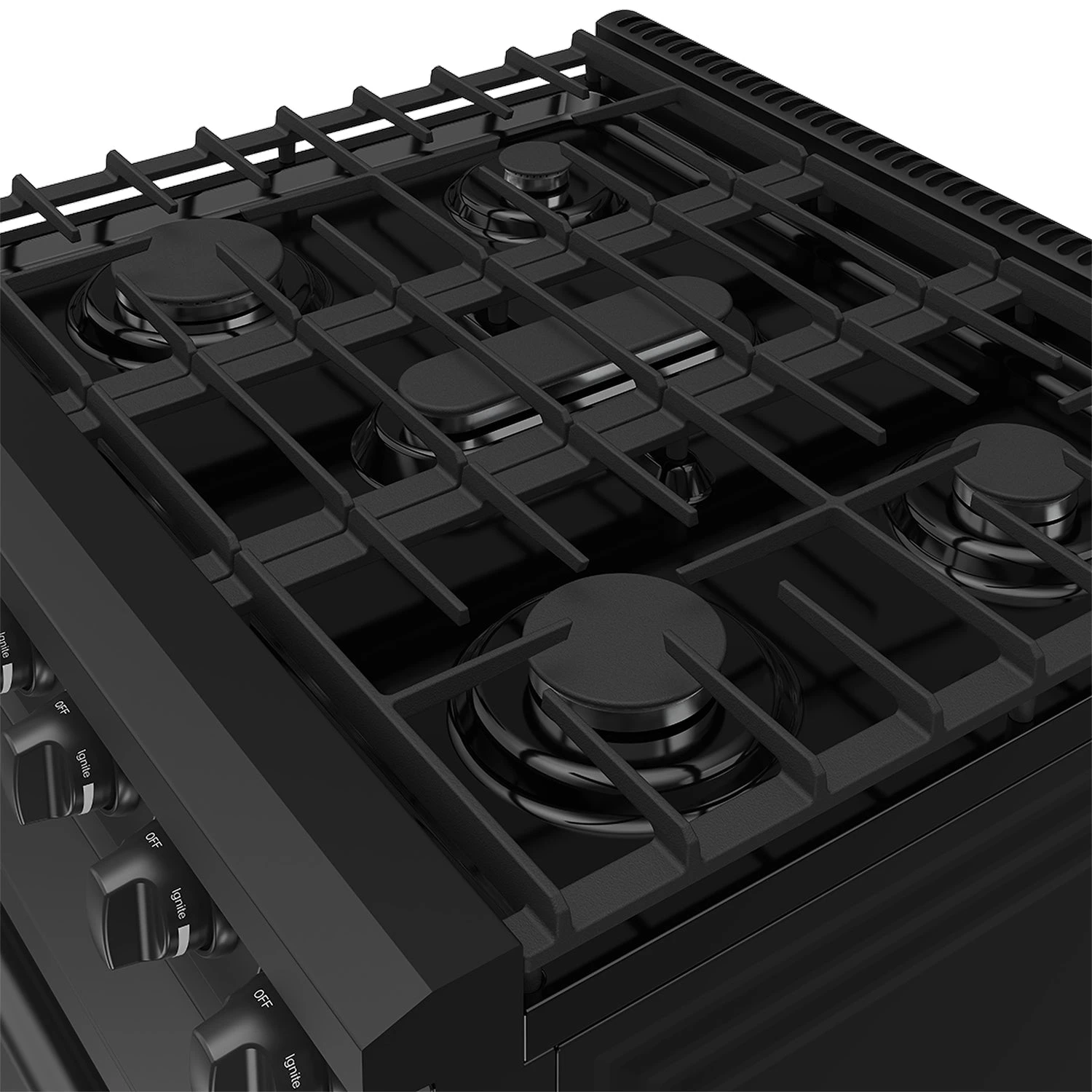 30 Inch Professional Liquid Propane Range In Black LRG3001UBLP
