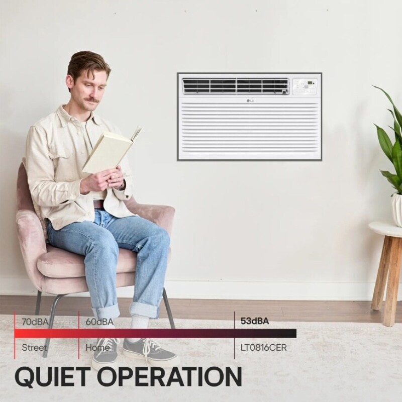 8,000 BTU 115v Through-the-Wall Air Conditioner LT0816CER