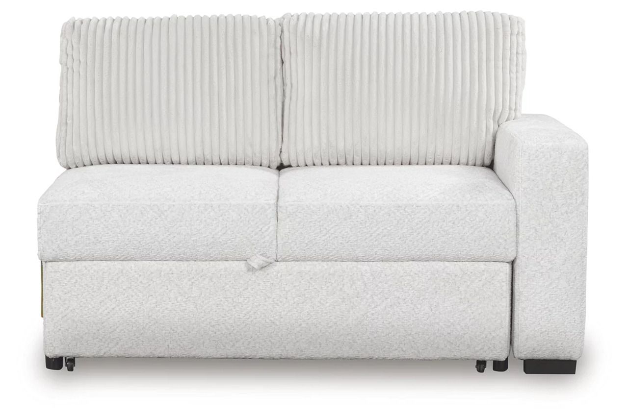 Tressment 2-Piece Sectional With Pop Up Sleeper And Chaise In Alloy NC67006S1