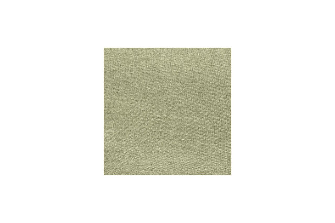 Vision Lane Outdoor Lounge Chair Set of 2 In Green and Beige NCP604820