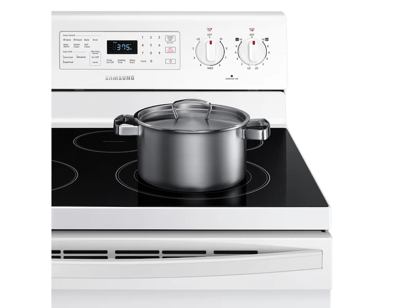 5.9 cu. ft. Freestanding Electric Range with Convection NE59T4321SWAA