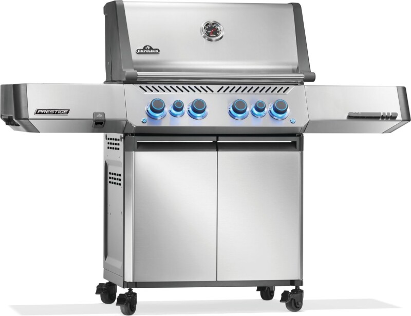 Prestige® 500 RSIB view 5