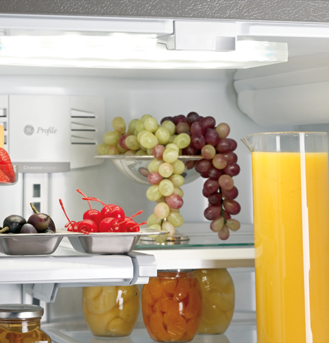 20.7 Cu. Ft. Refrigerator with Armoire Styling PGCS1PJXSS