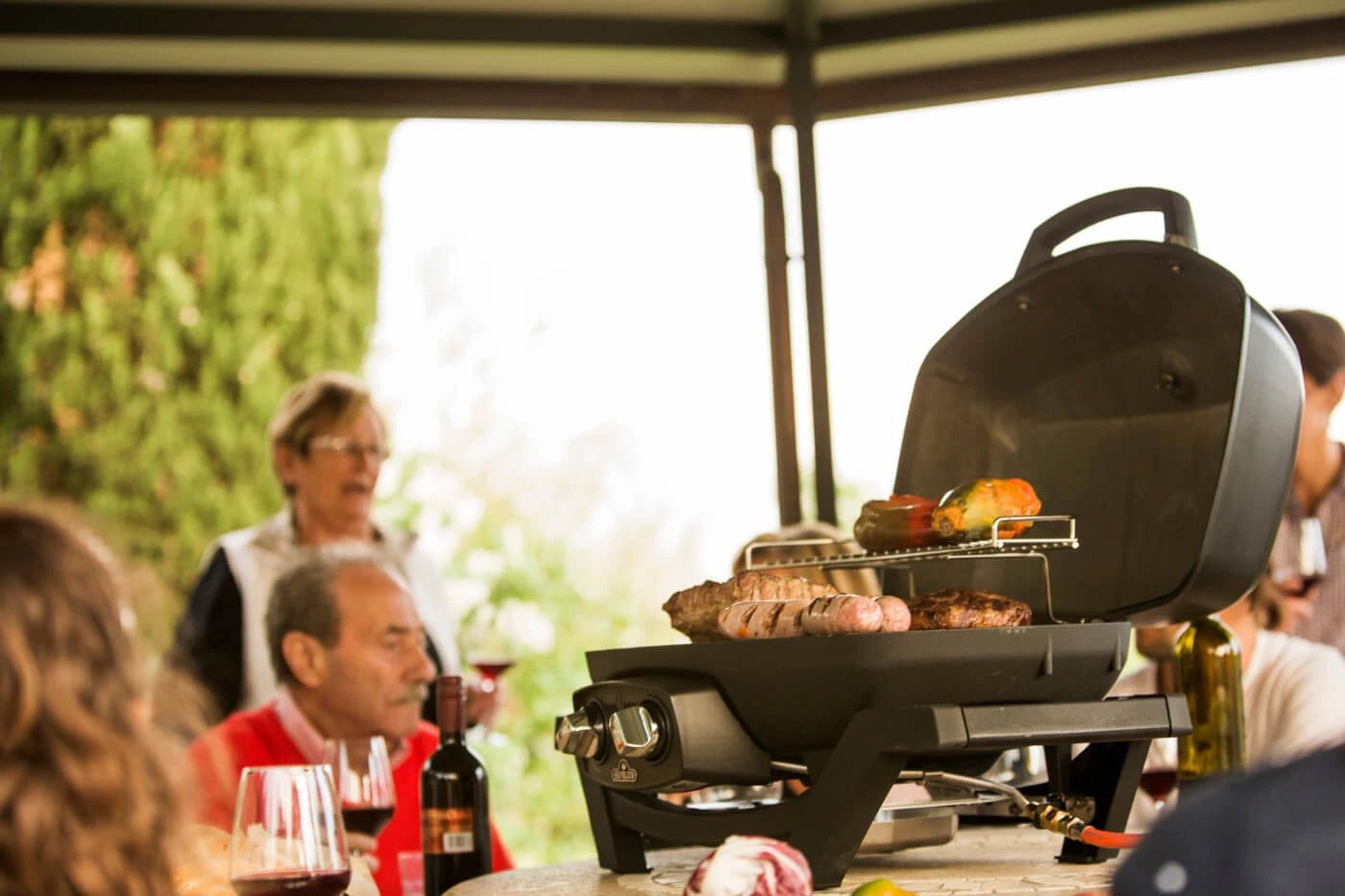 TravelQ™ PRO285 Portable Gas Grill PRO285NBK