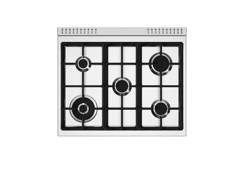 30 inch All Gas Range, 5 Burners PRO305GASXV