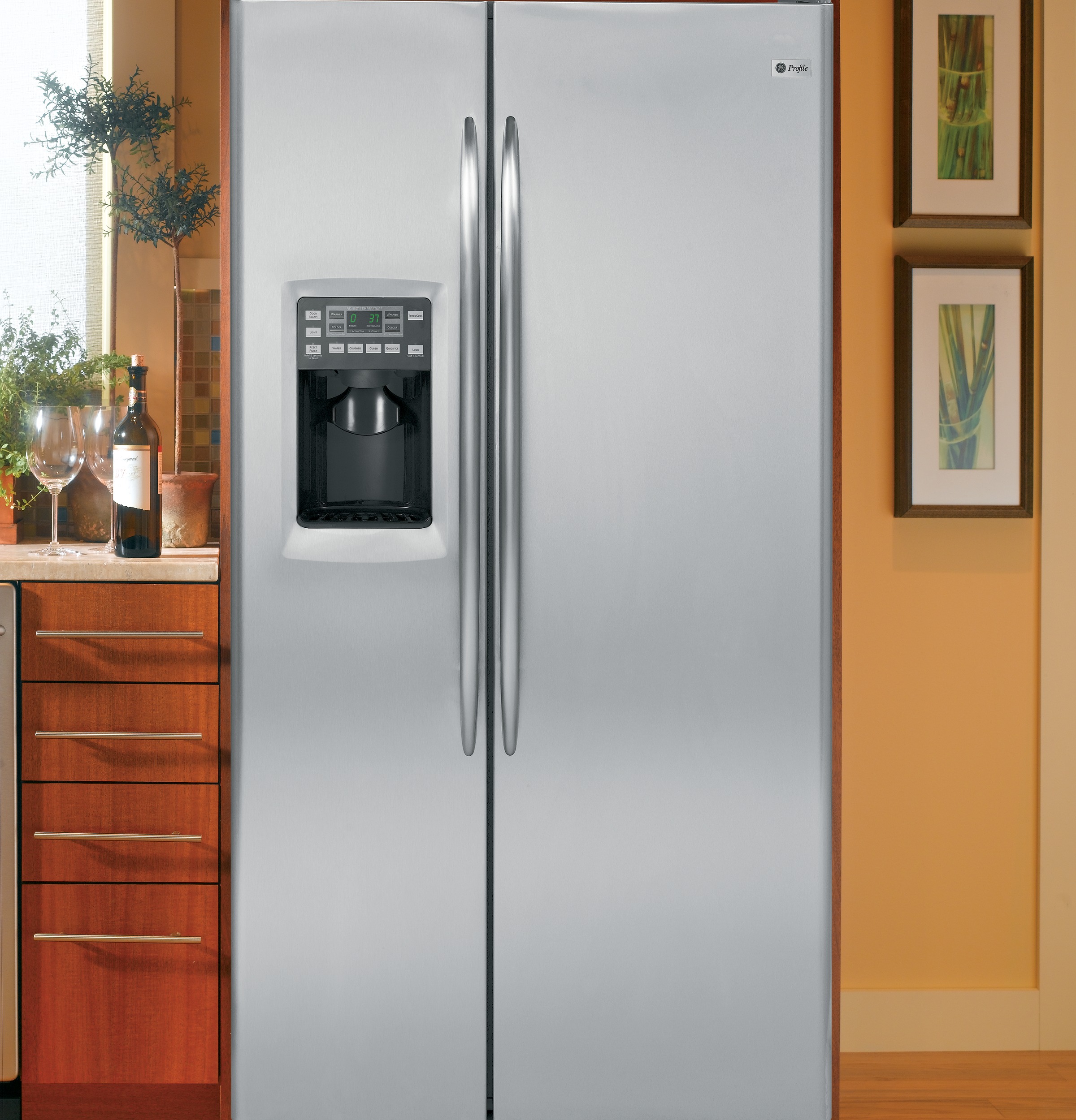 23.3 Cu. Ft. Side-by-Side Refrigerator PSCS3RGXSS