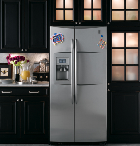 Counter-depth 23.2 Cu. Ft. Stainless-Wrapped Side-by-Side Refrigerator PSW23RSWSS, product image 5 of 10