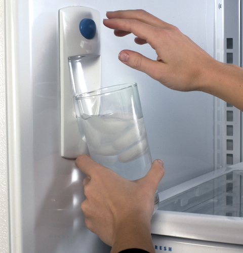 21.7 Cu. Ft. Top-Freezer Refrigerator with Internal Dispenser PTS22LHRBB