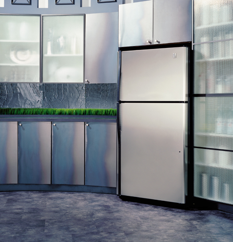 21.7 Cu. Ft. Stainless Top-Freezer Refrigerator PTS22SCRBS