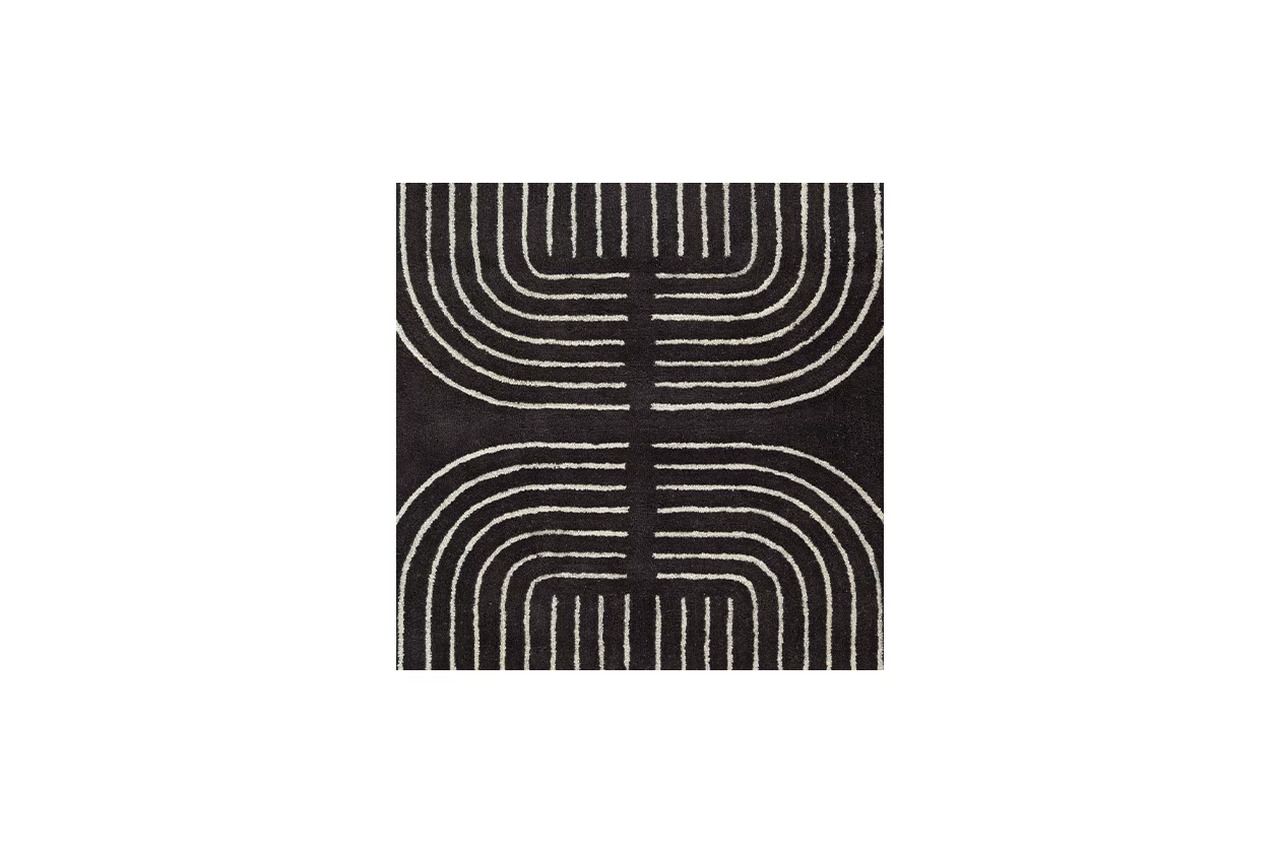 Eldonmore 5' x 7' Area Rug In Black and Ivory R407572