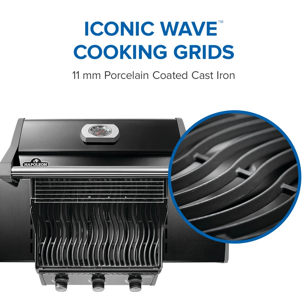 Rogue® 425 Gas Grill R425NK2