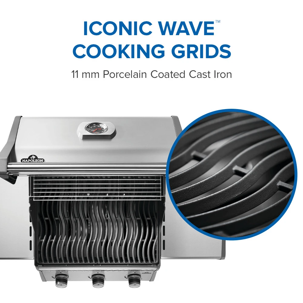 Rogue® 425 Gas Grill R425NSS2