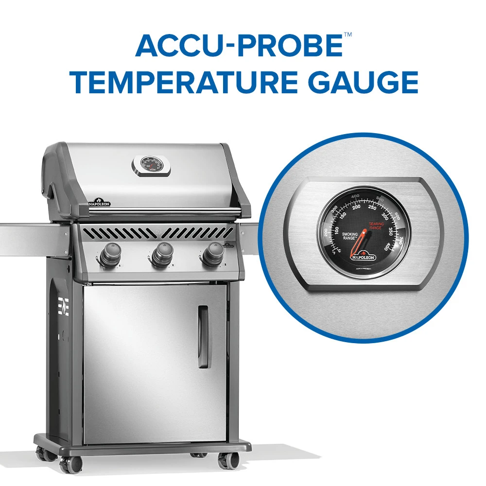 Rogue® 425 Gas Grill R425NSS2