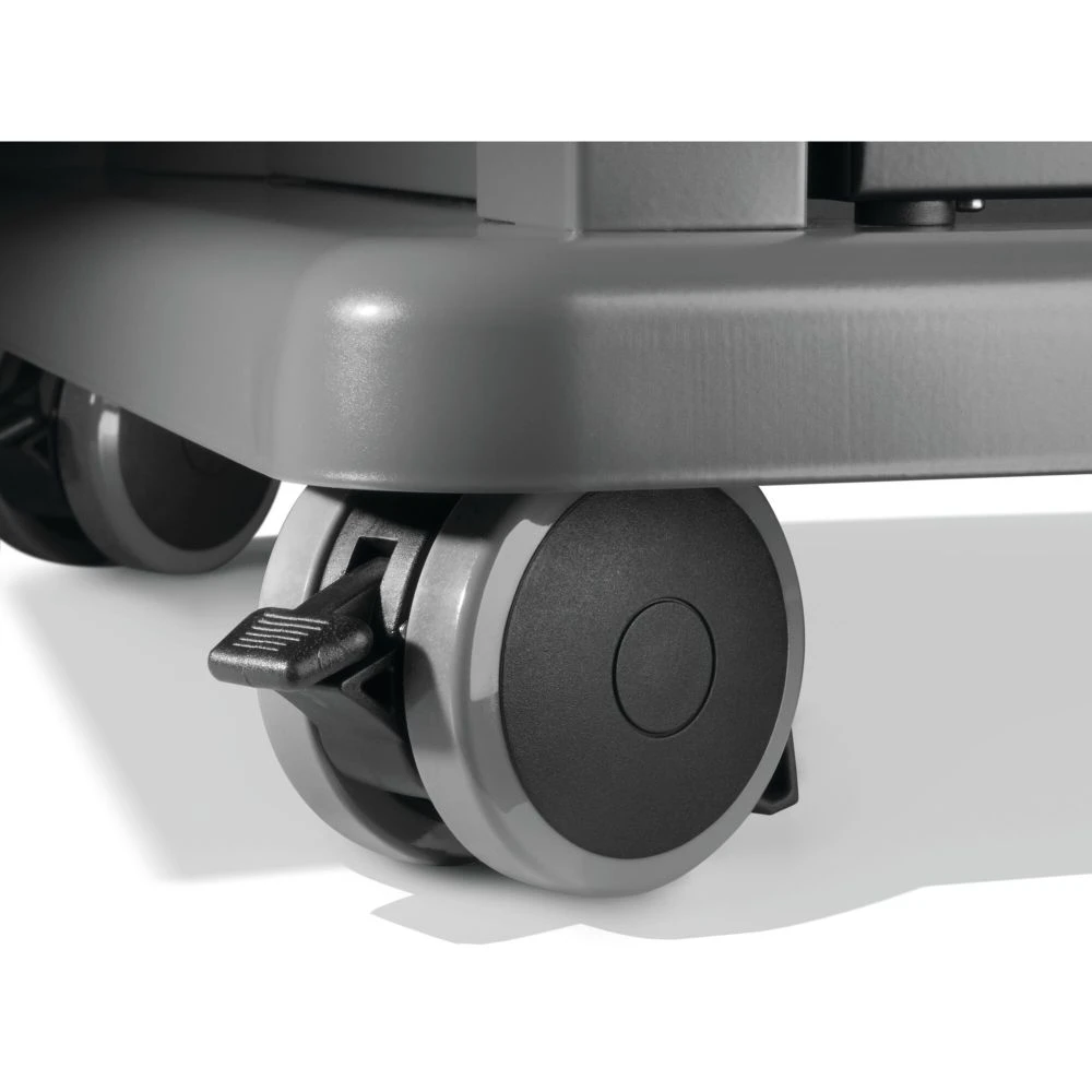Rogue® 525 Gas Grill R525NSS2