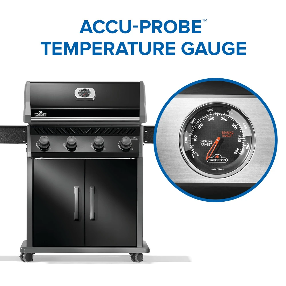 Rogue® 525 Gas Grill R525PK2