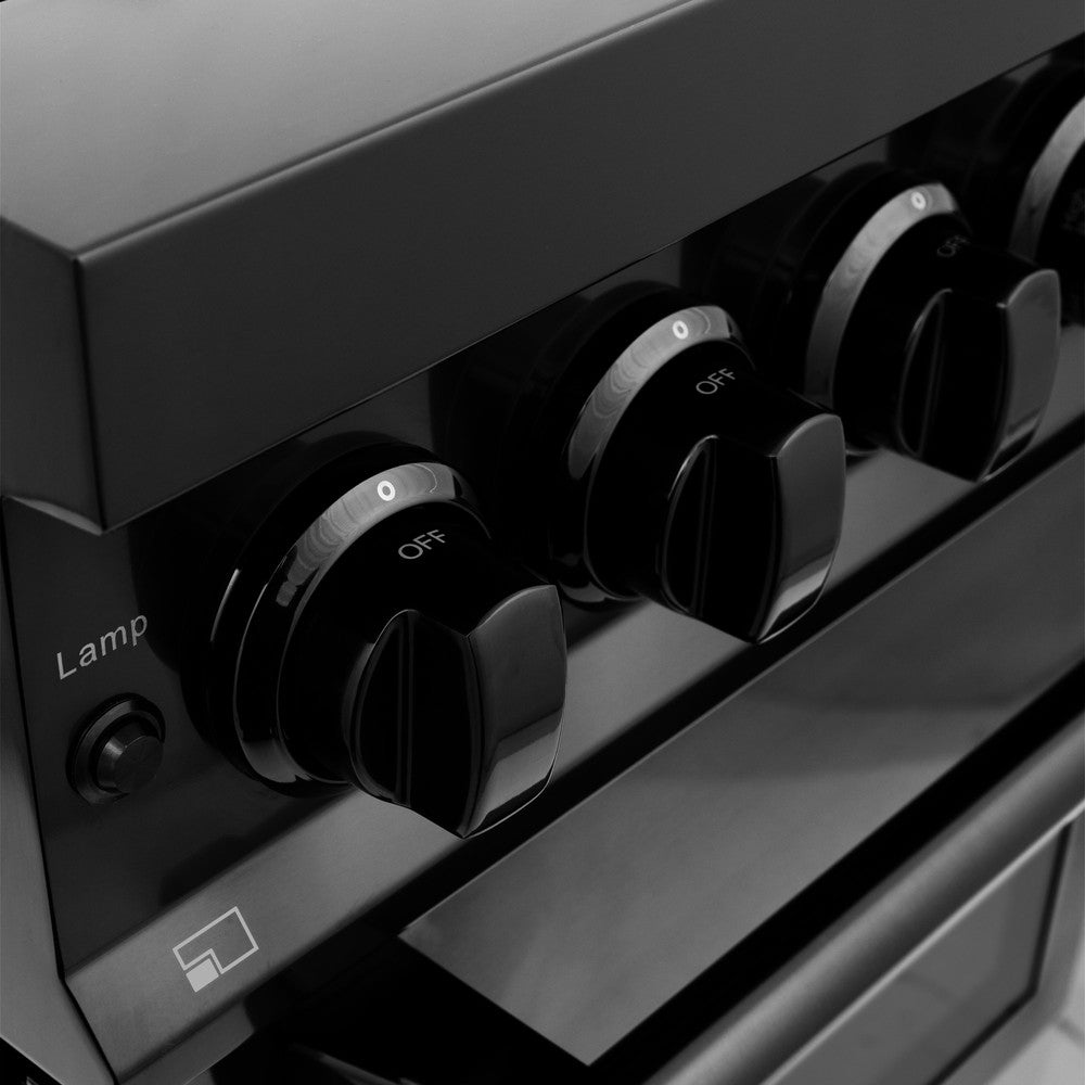 24" Professional Dual Fuel Range  view 7