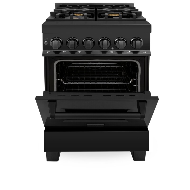 24" 2.8 cu. ft. Dual Fuel Range with Gas Stove and Electric Oven with Brass Burners RABBR24
