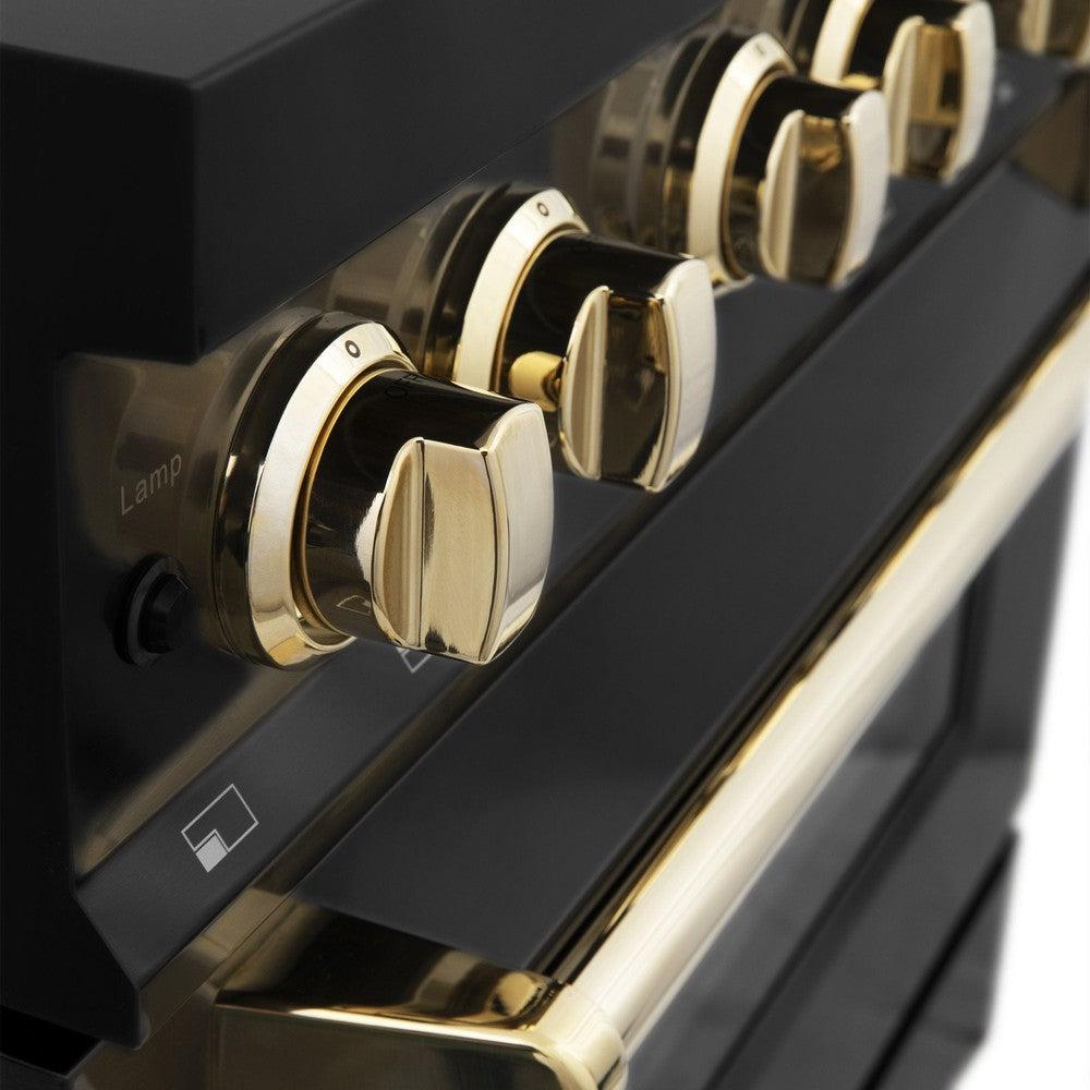 Autograph Edition 48 In. 6.0 Cu. Ft. Legacy Dual Fuel Range With 7 Burner Gas Cooktop And 2 Electric Ovens In Black Stainless Steel And Polished Gold Accents RABZ48G