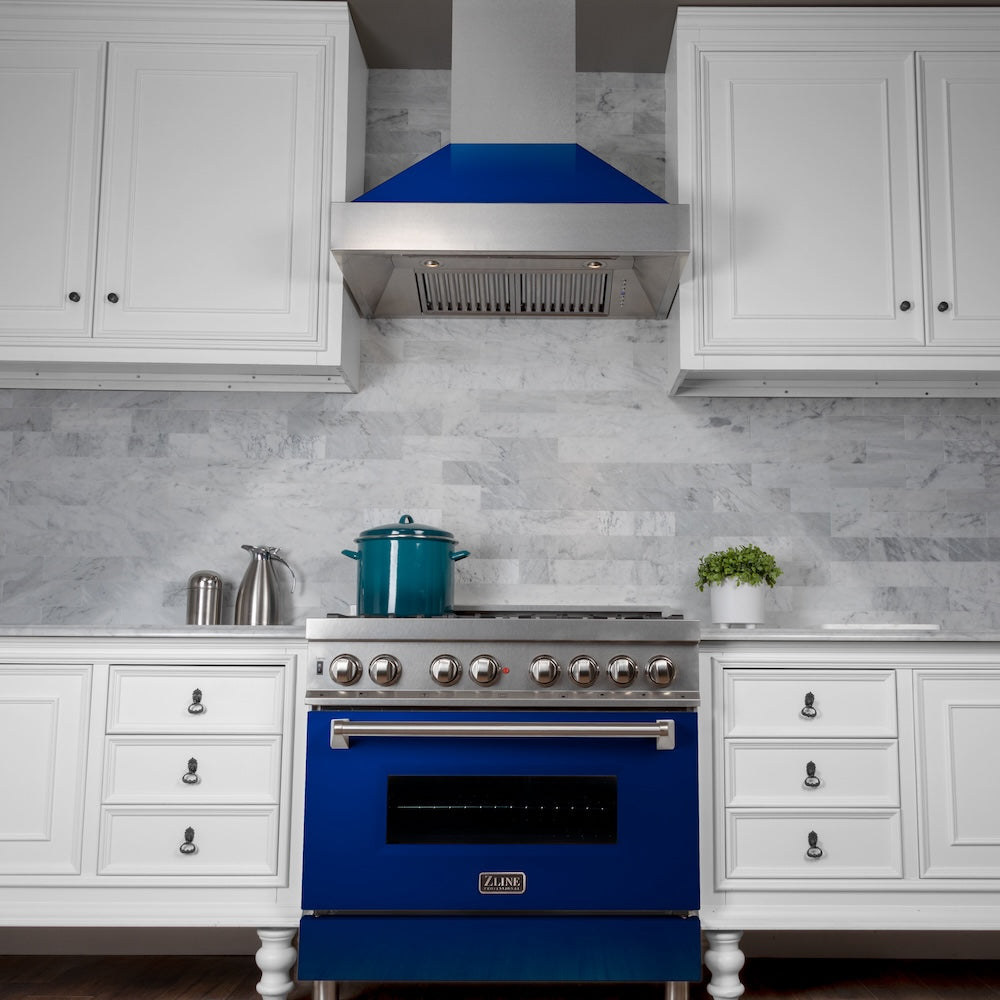30" 4.0 cu. ft. Dual Fuel Range with Gas Stove and Electric Oven and Door (RAS-30) RASBG30