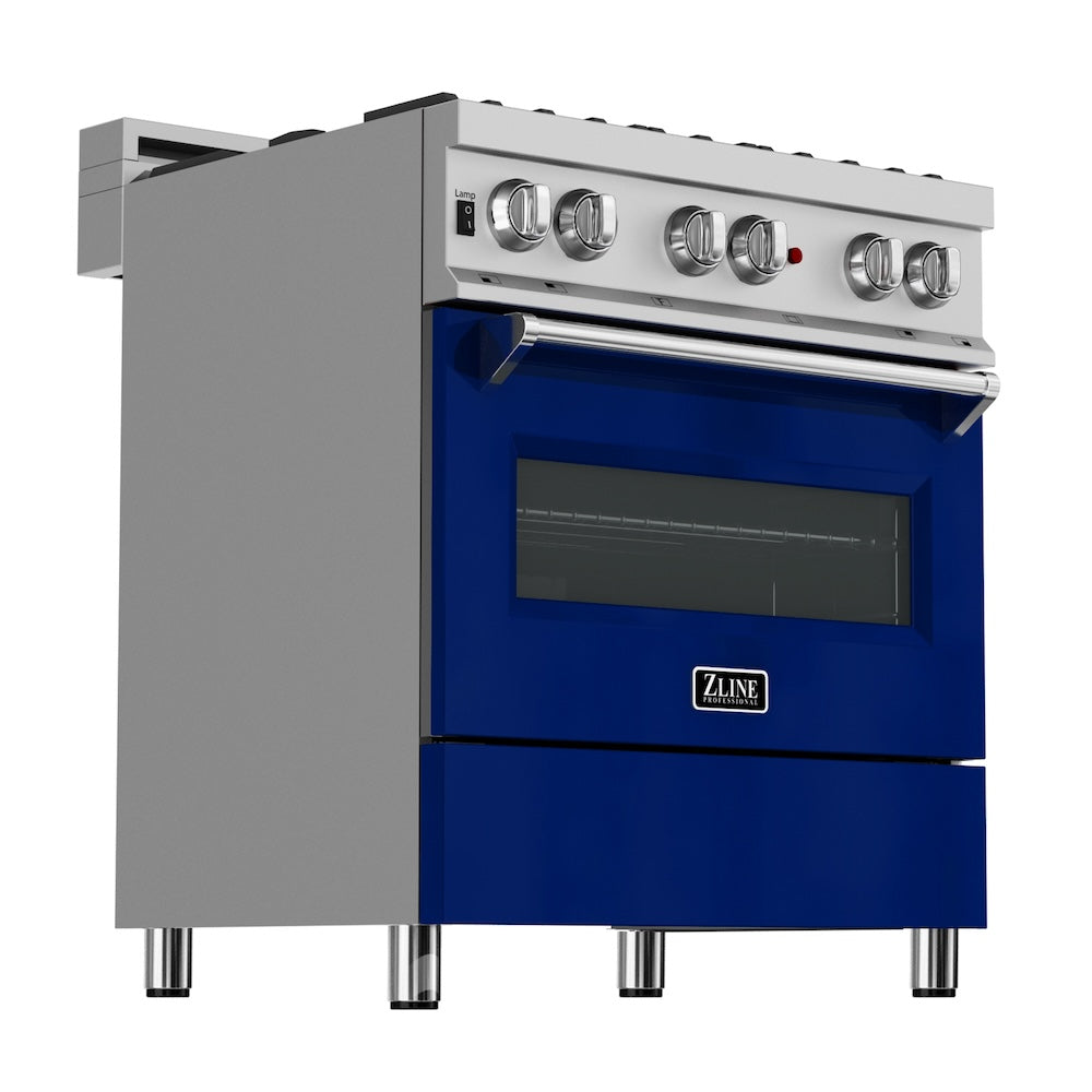 30" 4.0 cu. ft. Dual Fuel Range with Gas Stove and Electric Oven and Door (RAS-30) RASBG30