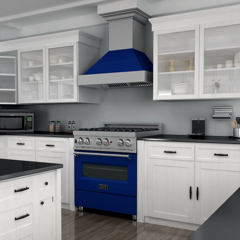 30" 4.0 cu. ft. Dual Fuel Range with Gas Stove and Electric Oven and Door (RAS-30) RASBG30