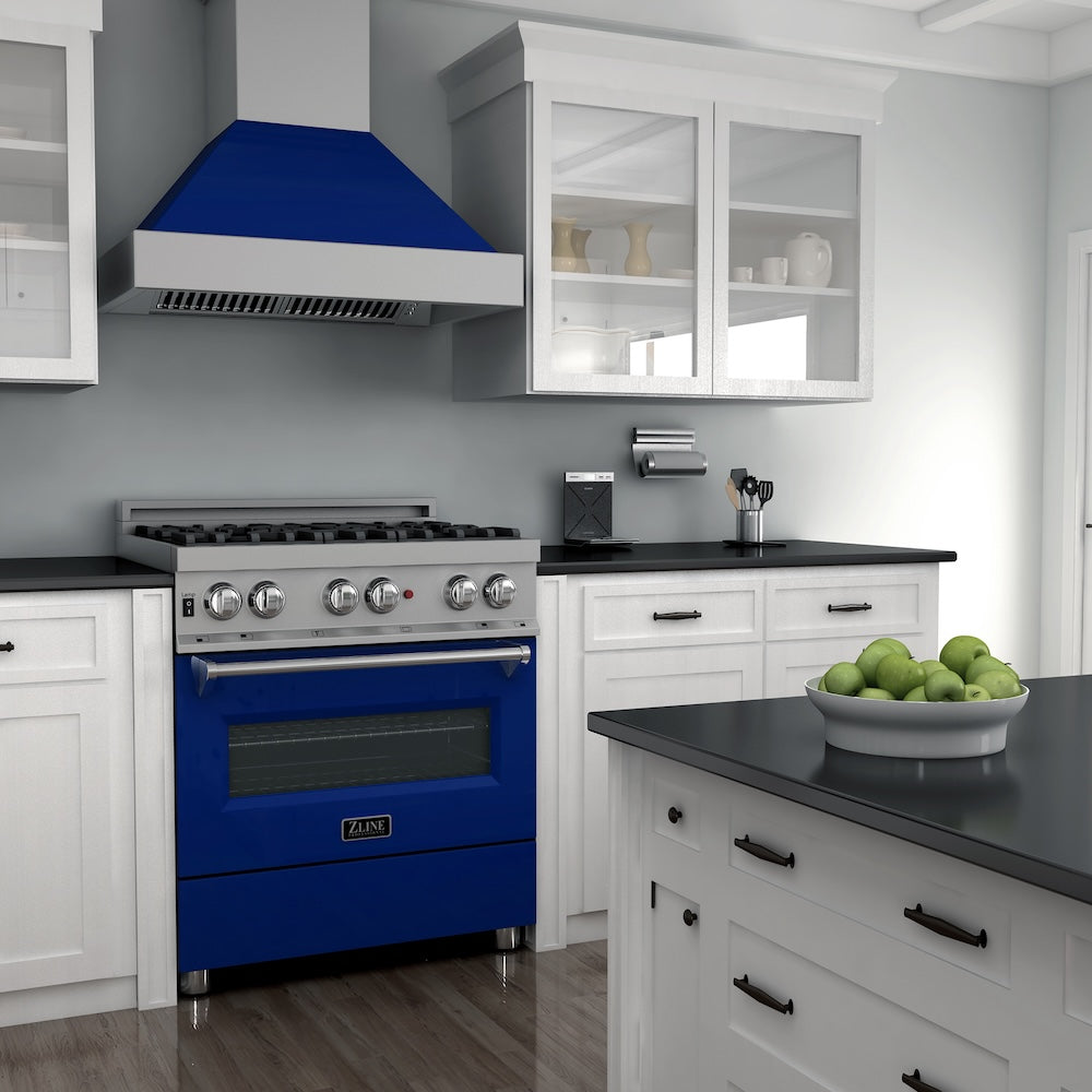 30" 4.0 cu. ft. Dual Fuel Range with Gas Stove and Electric Oven and Door (RAS-30) RASBG30