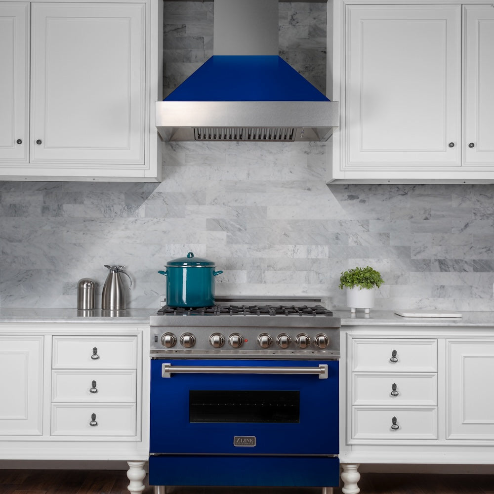 30" 4.0 cu. ft. Dual Fuel Range with Gas Stove and Electric Oven and Door (RAS-30) RASBG30