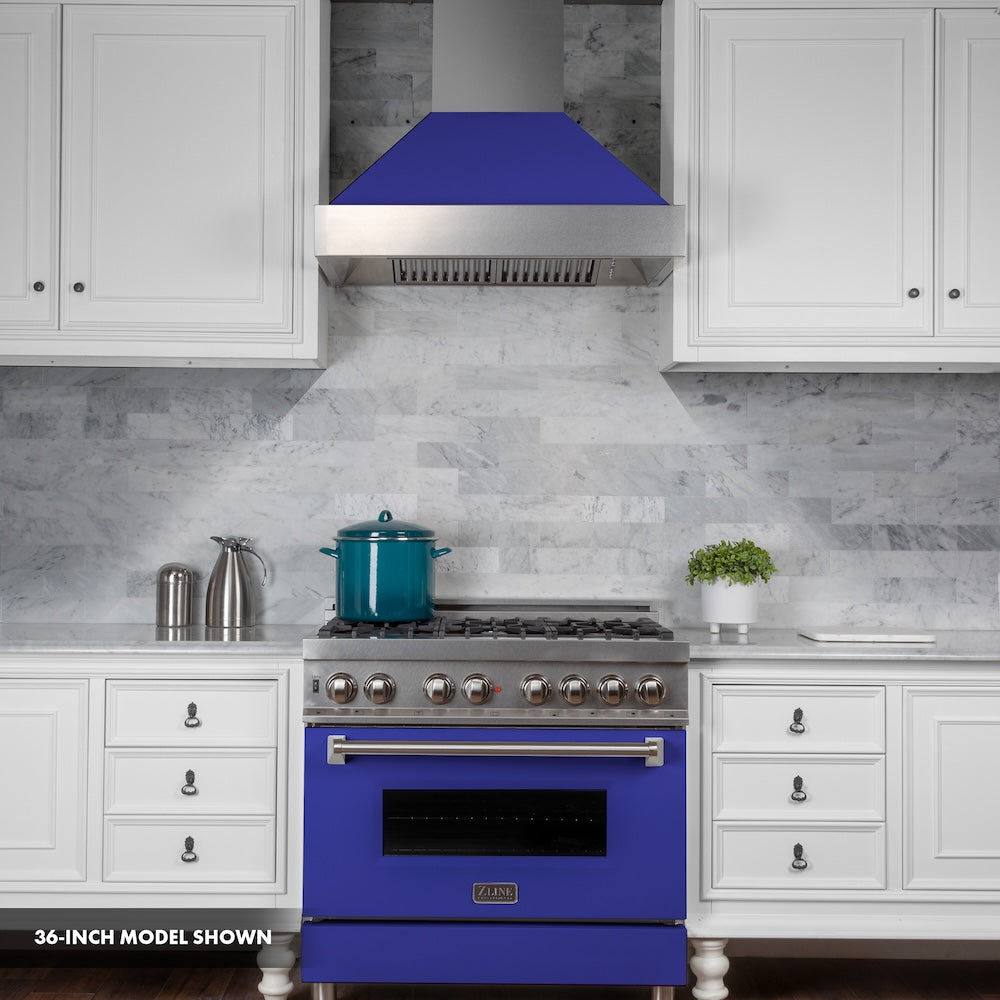 30" 4.0 cu. ft. Dual Fuel Range with Gas Stove and Electric Oven and Door (RAS-30) RASBM30