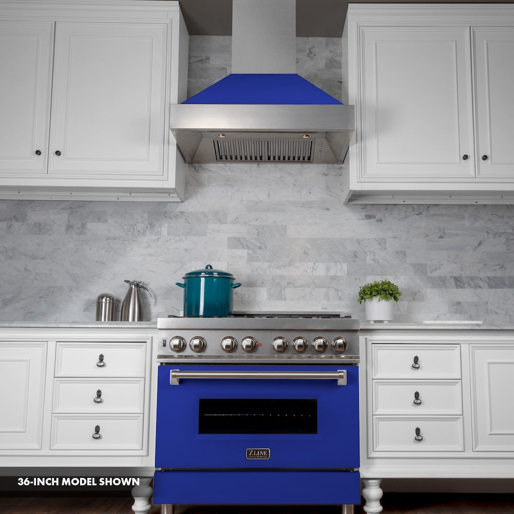 30" 4.0 cu. ft. Dual Fuel Range with Gas Stove and Electric Oven and Door (RAS-30) RASBM30