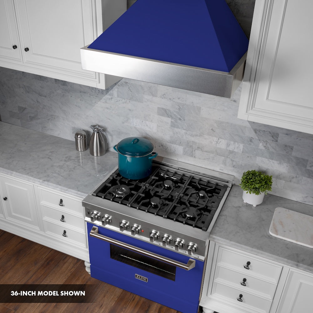 30" 4.0 cu. ft. Dual Fuel Range with Gas Stove and Electric Oven and Door (RAS-30) RASBM30