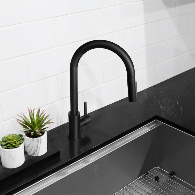 Palisades Pull Down Single Handle Kitchen Faucet In Matte Black RBCN1KFMB