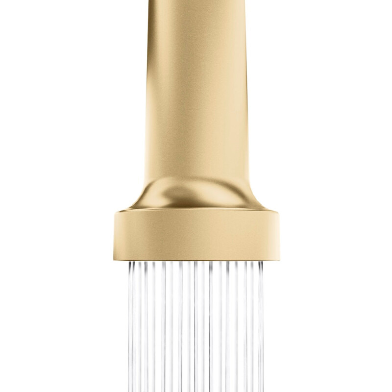 Palisades Pull Down Spring Spray Wand Kitchen Faucet In Champagne Bronze RBCN2KFCB