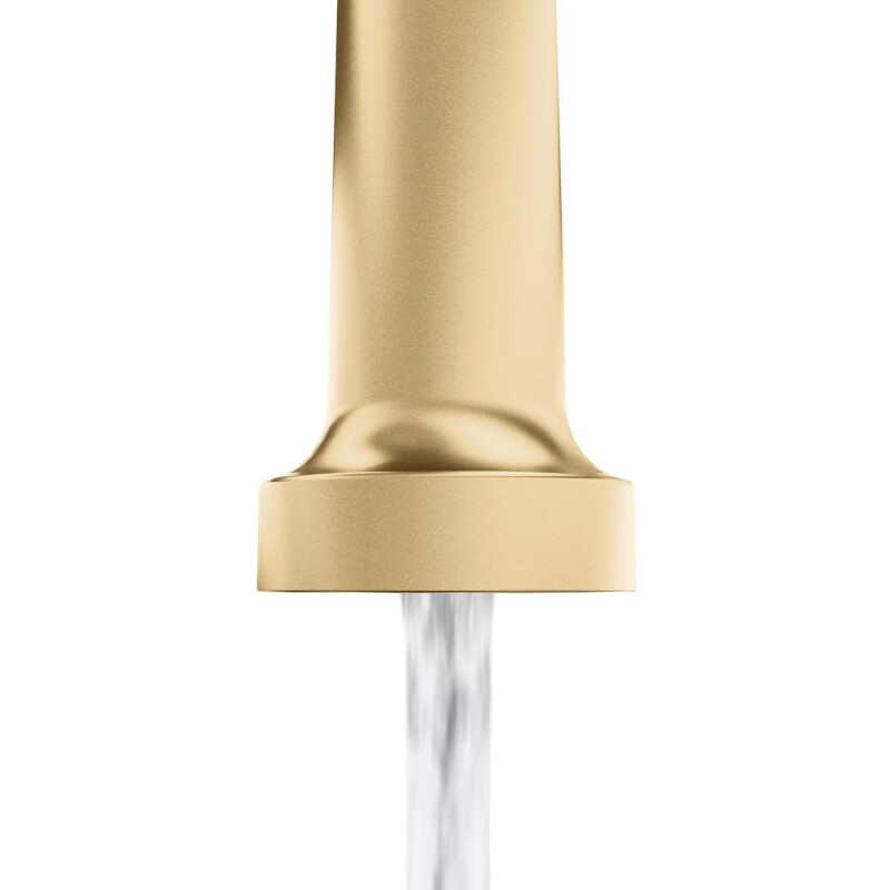 Palisades Pull Down Spring Spray Wand Kitchen Faucet In Champagne Bronze RBCN2KFCB