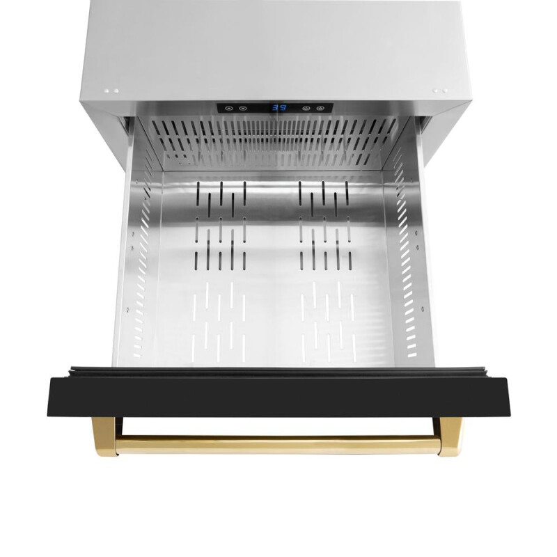 Autograph Edition 24 in. Touchstone 168 Can Outdoor-Rated Dual Refrigerator Drawer with Black Matte Doors and Polished Gold Handles RDSOZBLM24G
