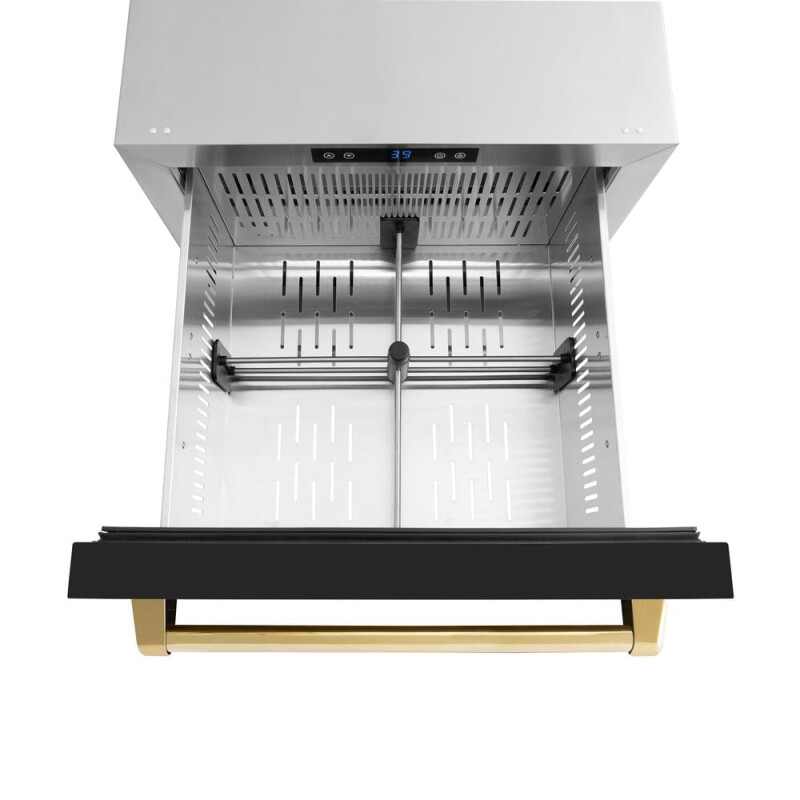 Autograph Edition 24 in. Touchstone 168 Can Outdoor-Rated Dual Refrigerator Drawer with Black Matte Doors and Polished Gold Handles RDSOZBLM24G