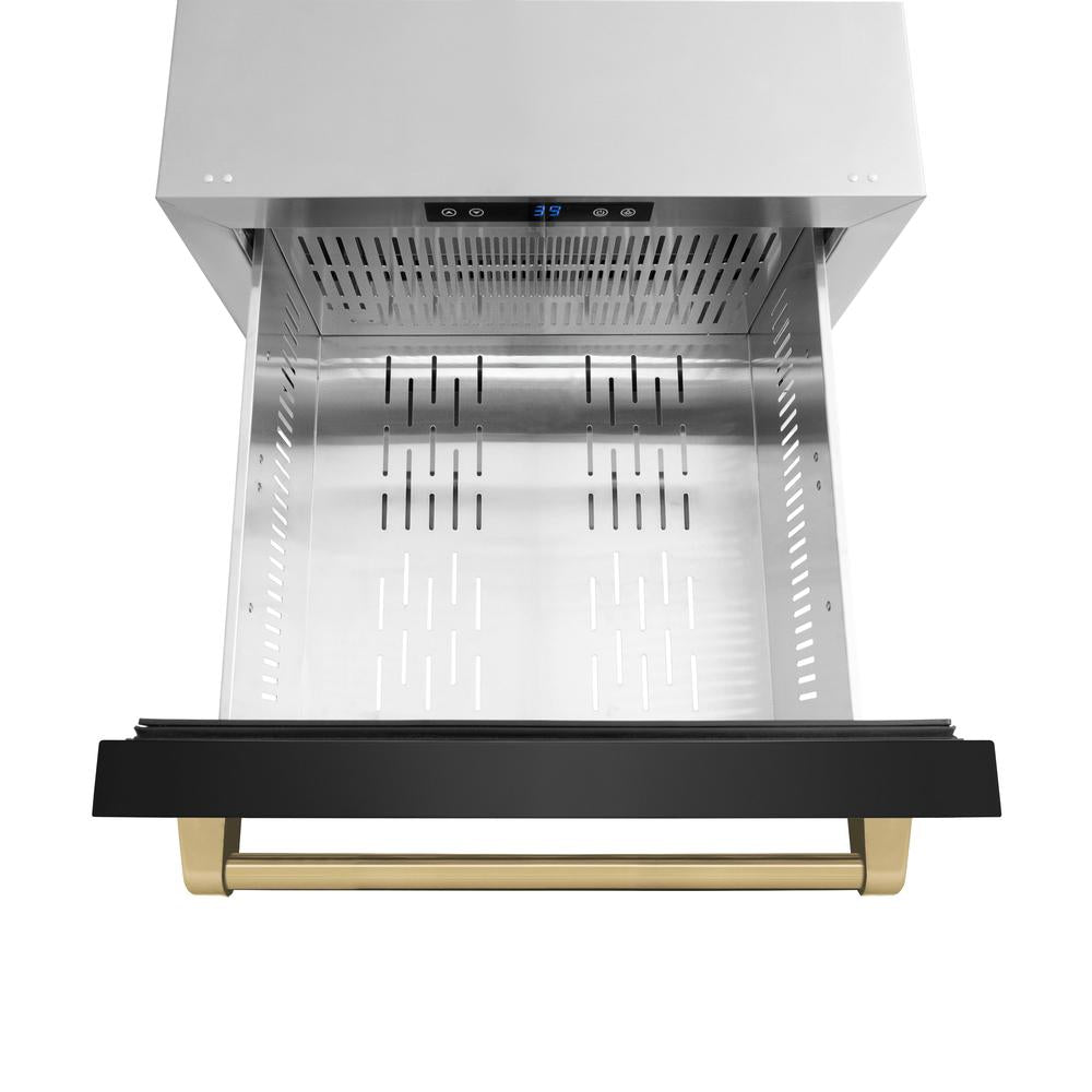Autograph Edition 24 In. Touchstone 168 Can Outdoor-rated Dual Refrigerator Drawer With Black Stainless Steel Doors And Champagne Bronze Handles RDSOZBS24CB