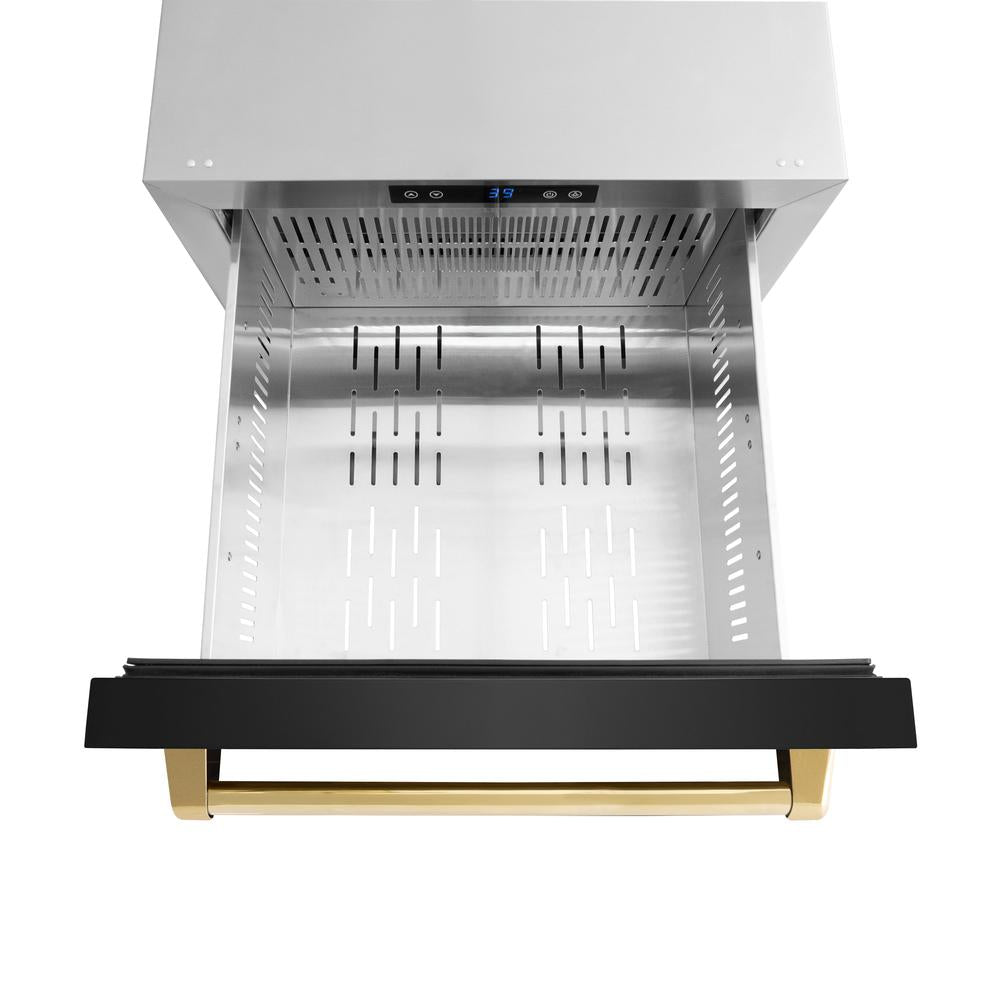 Autograph Edition 24 In. Touchstone 168 Can Outdoor-rated Dual Refrigerator Drawer With Black Stainless Steel Doors And Polished Gold Handles RDSOZBS24G