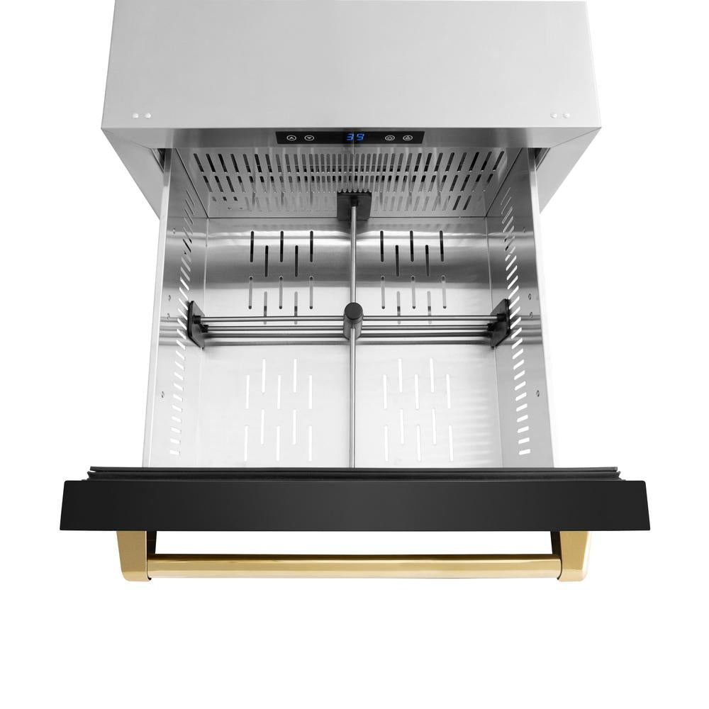 Autograph Edition 24 In. Touchstone 168 Can Outdoor-rated Dual Refrigerator Drawer With Black Stainless Steel Doors And Polished Gold Handles RDSOZBS24G