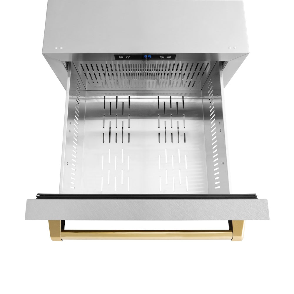Autograph Edition 24 In. Touchstone 168 Can Outdoor-rated Dual Refrigerator Drawer With Satin Stainless Steel Doors And Polished Gold Handles RDSOZSN24G
